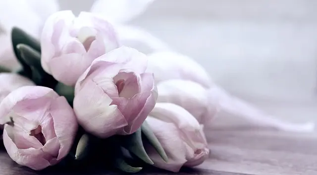 5 tendances mode essentielles à adopter ce printemps